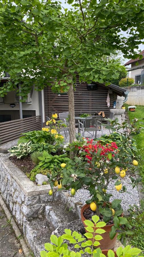 Apartma Nomad Novo Mesto Exterior photo